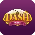 Dash Rummy app icon